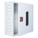 Fire cabinet ShP-N 60/60 BV (mounted, white, window, 600x600x230)