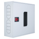 Fire cabinet ShP-NS 60/60 BV (mounted, white, window, 600x600x230)