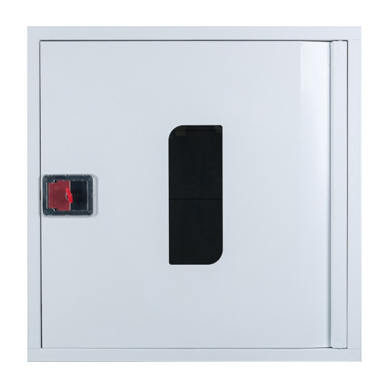 Fire cabinet ShP-B 60/60 BV (built-in, white, window, 600x600x230)