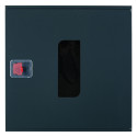 Fire cabinet ShP-N 60/60 BV (mounted, anthracite, window, 600x600x230)