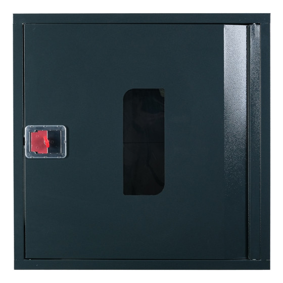 Fire cabinet ShP-B 60/60 BV (built-in, anthracite, window, 600x600x230)